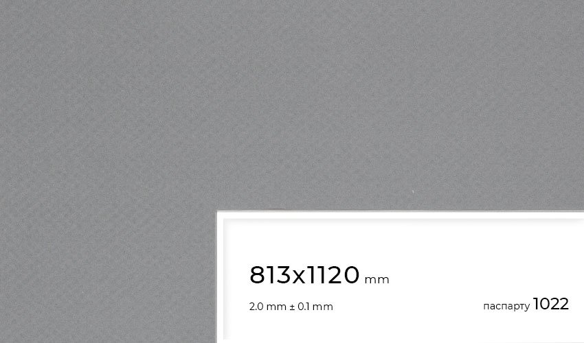 Паспарту 1022