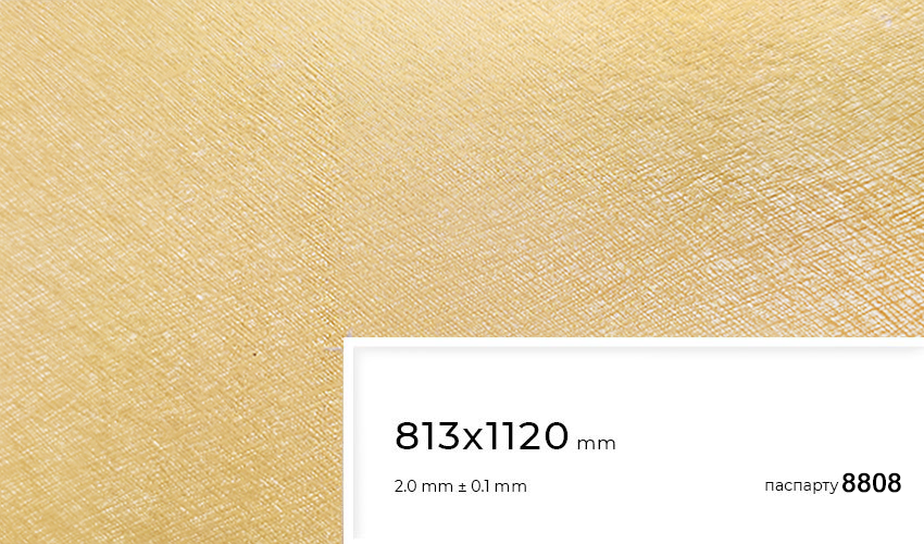 Паспарту 8808